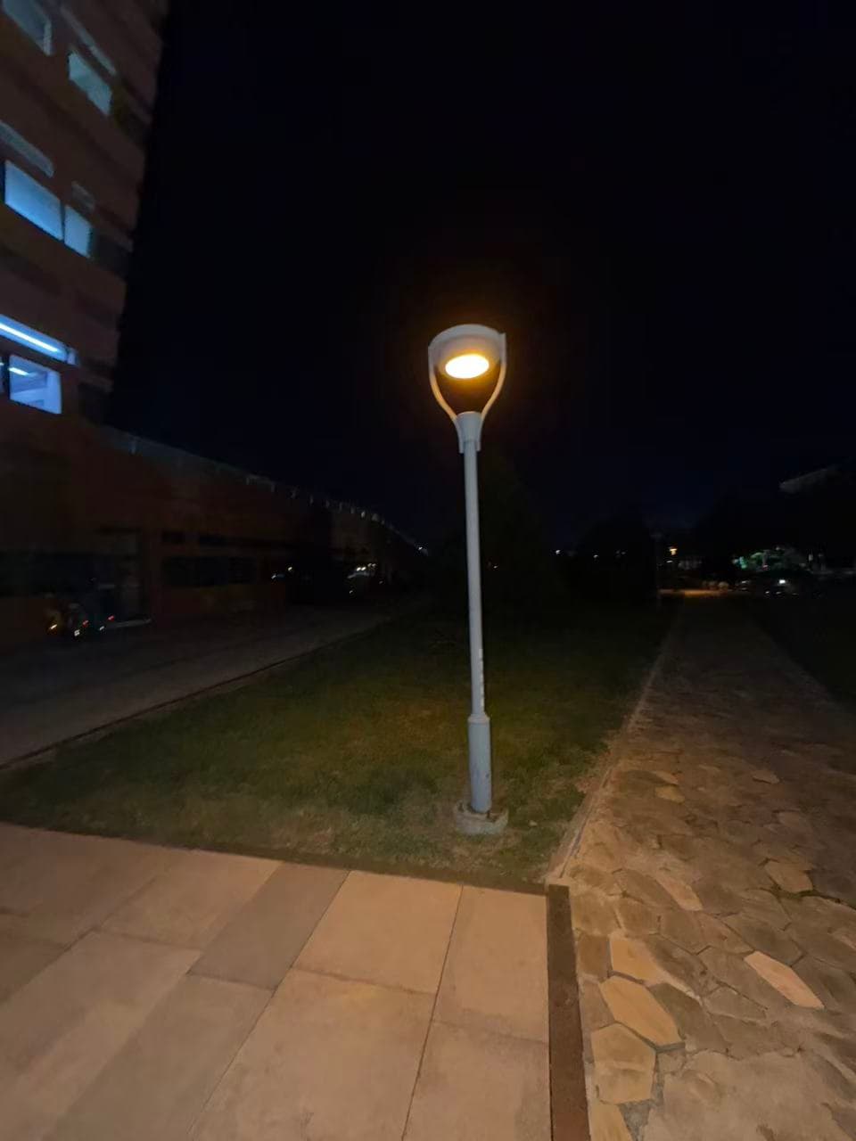 A streetlamp glowing beside a campus path after nine at night