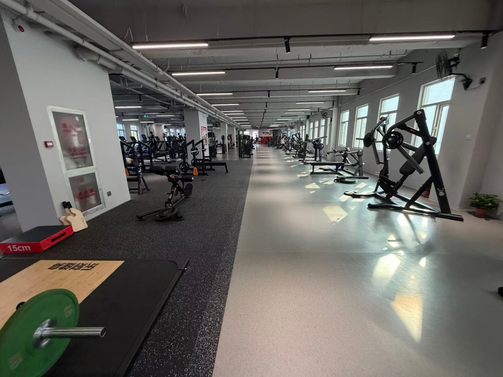 Morning sunlight entering a quiet gym lined with training equipment