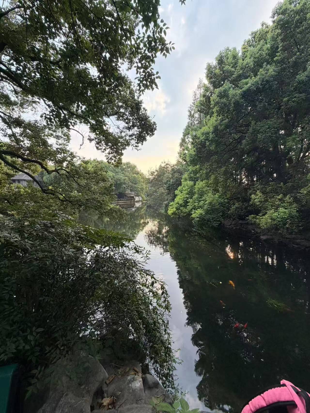 Still water surrounded by trees and their shadows