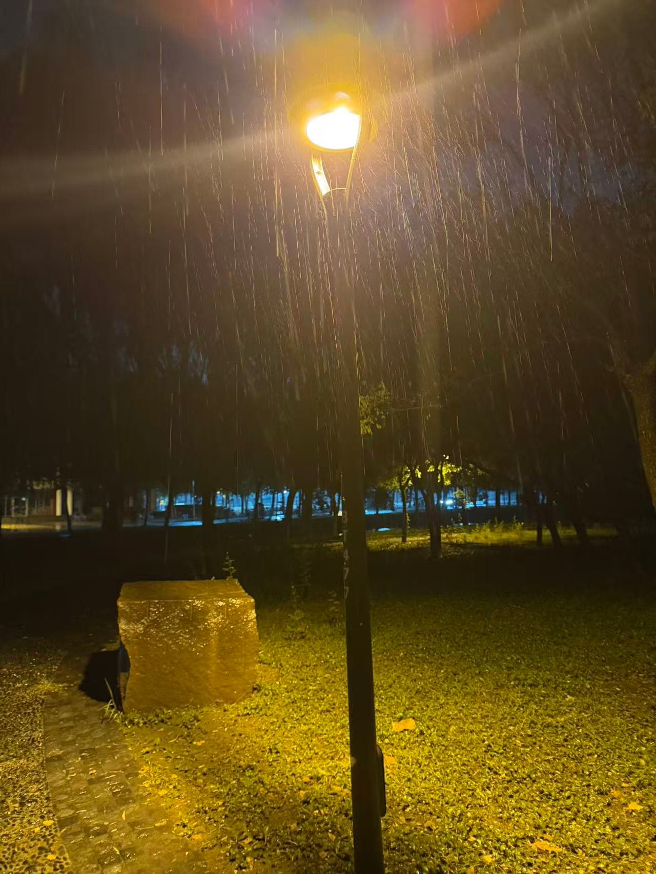 Heavy rain illuminated by a warm streetlight at night, falling in front of trees and wet grass