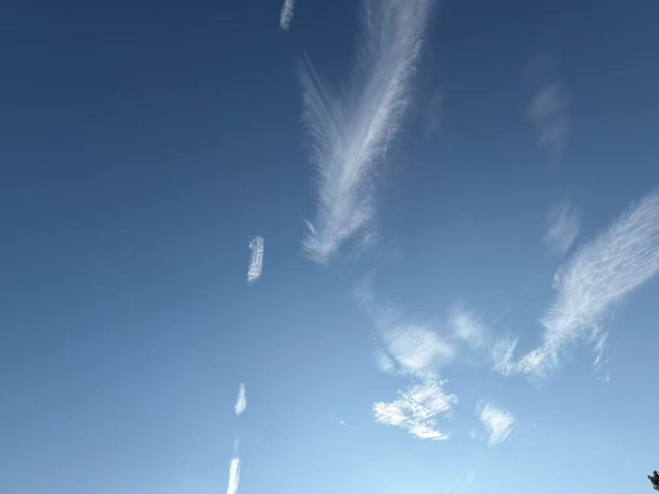 Thin white clouds spreading like light feathers across a deep blue sky