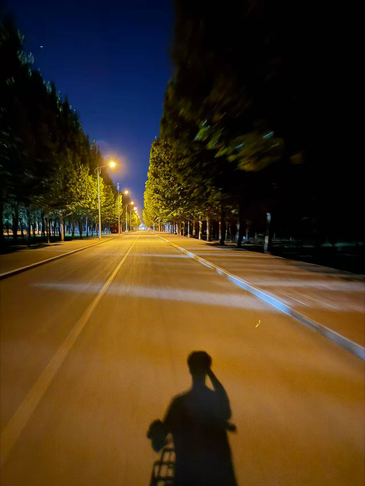 A campus road at night, with a cyclist's shadow beneath the streetlights
