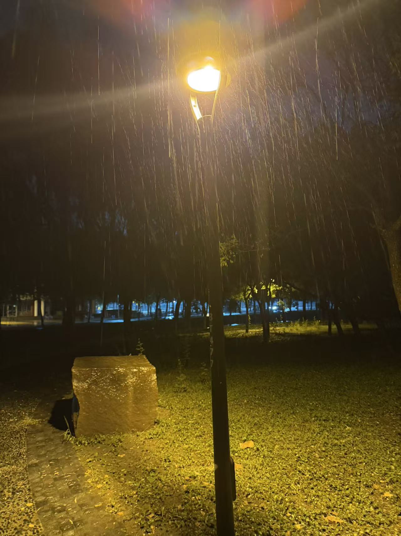 Heavy rain illuminated by a warm streetlight at night, falling in front of trees and wet grass