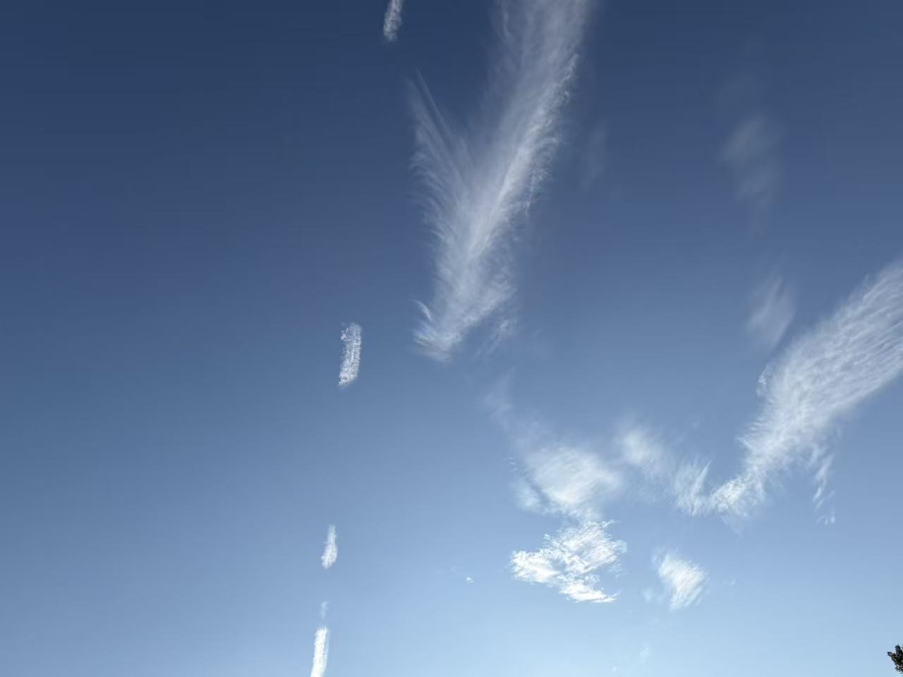 Thin white clouds spreading like light feathers across a deep blue sky