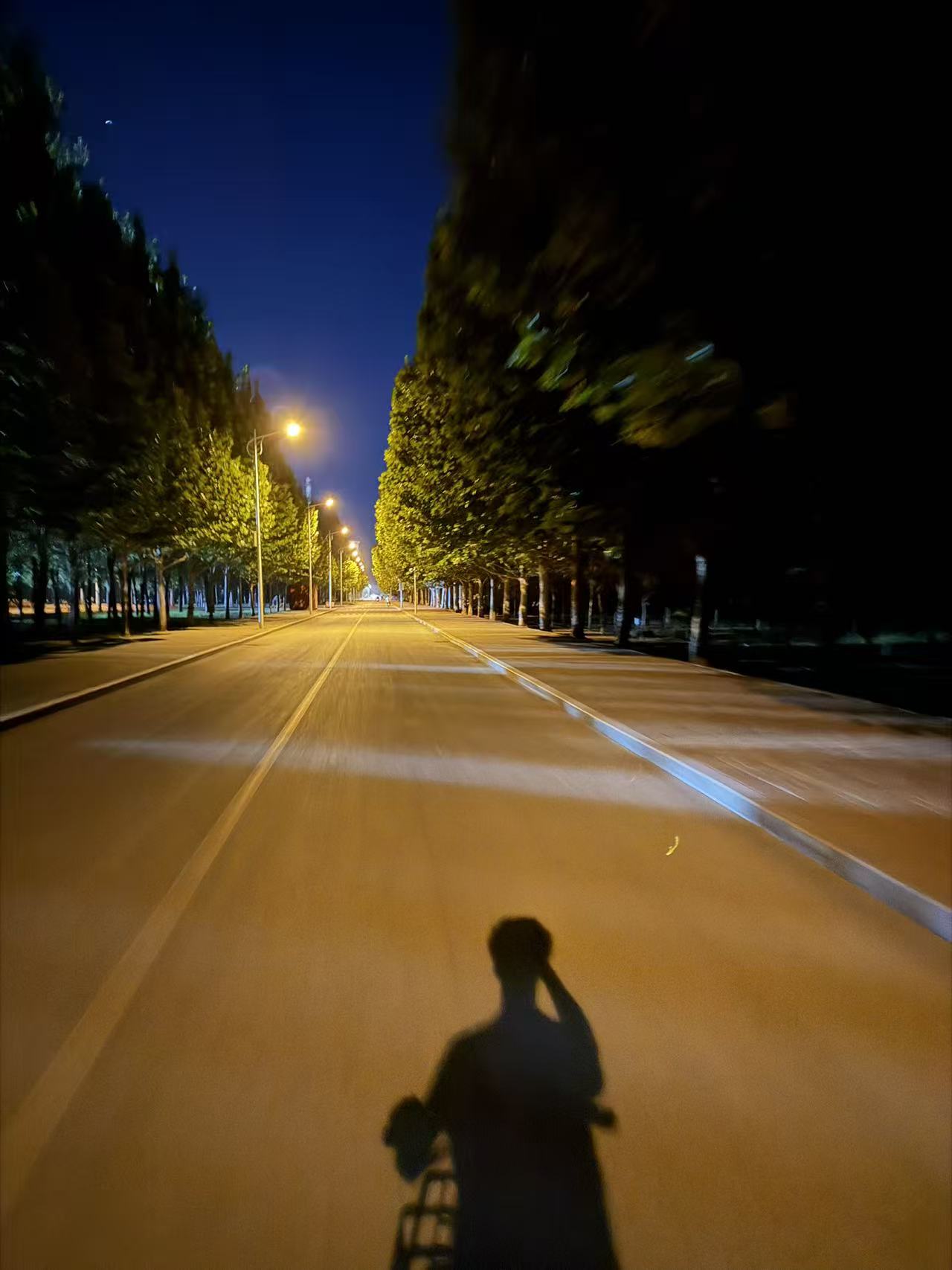 A campus road at night, with a cyclist's shadow beneath the streetlights