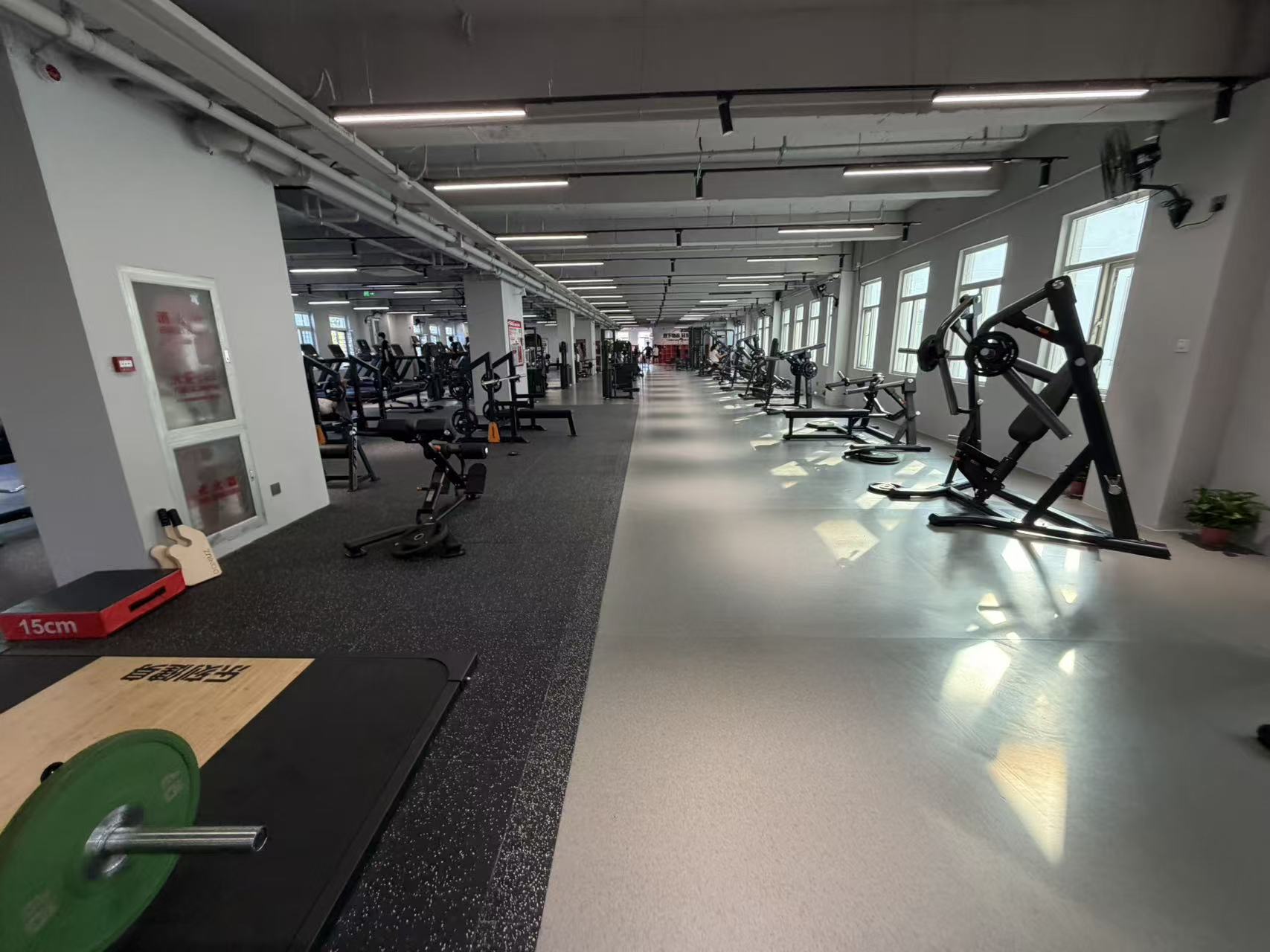 Morning sunlight entering a quiet gym lined with training equipment